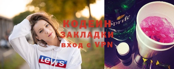 хмурый Арсеньев