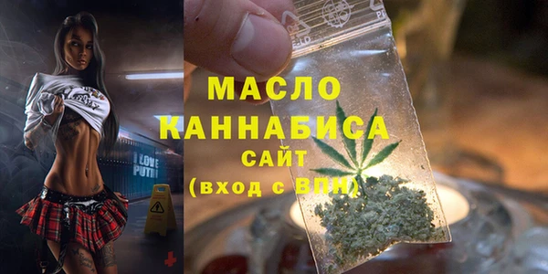 хмурый Арсеньев