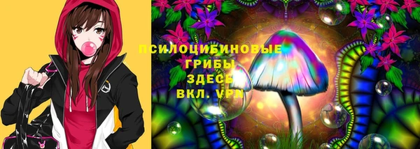 хмурый Арсеньев