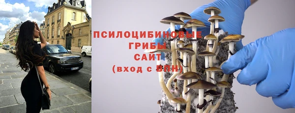 хмурый Арсеньев