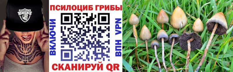 Псилоцибиновые грибы GOLDEN TEACHER  ОМГ ОМГ ссылка  Талица 
